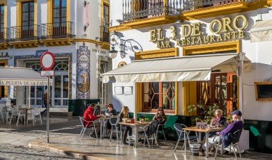 Cafes Madrid Tourist Guide